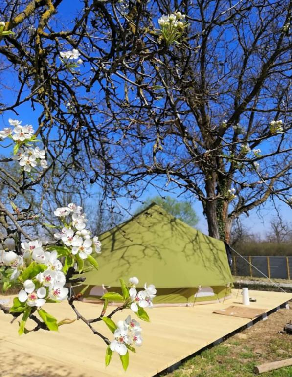 Belltent Savica *